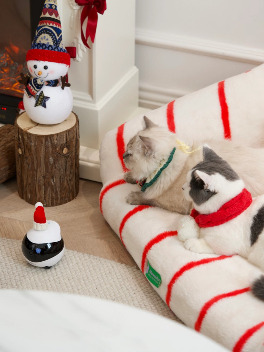 Enaboe EBO SE Christmas look