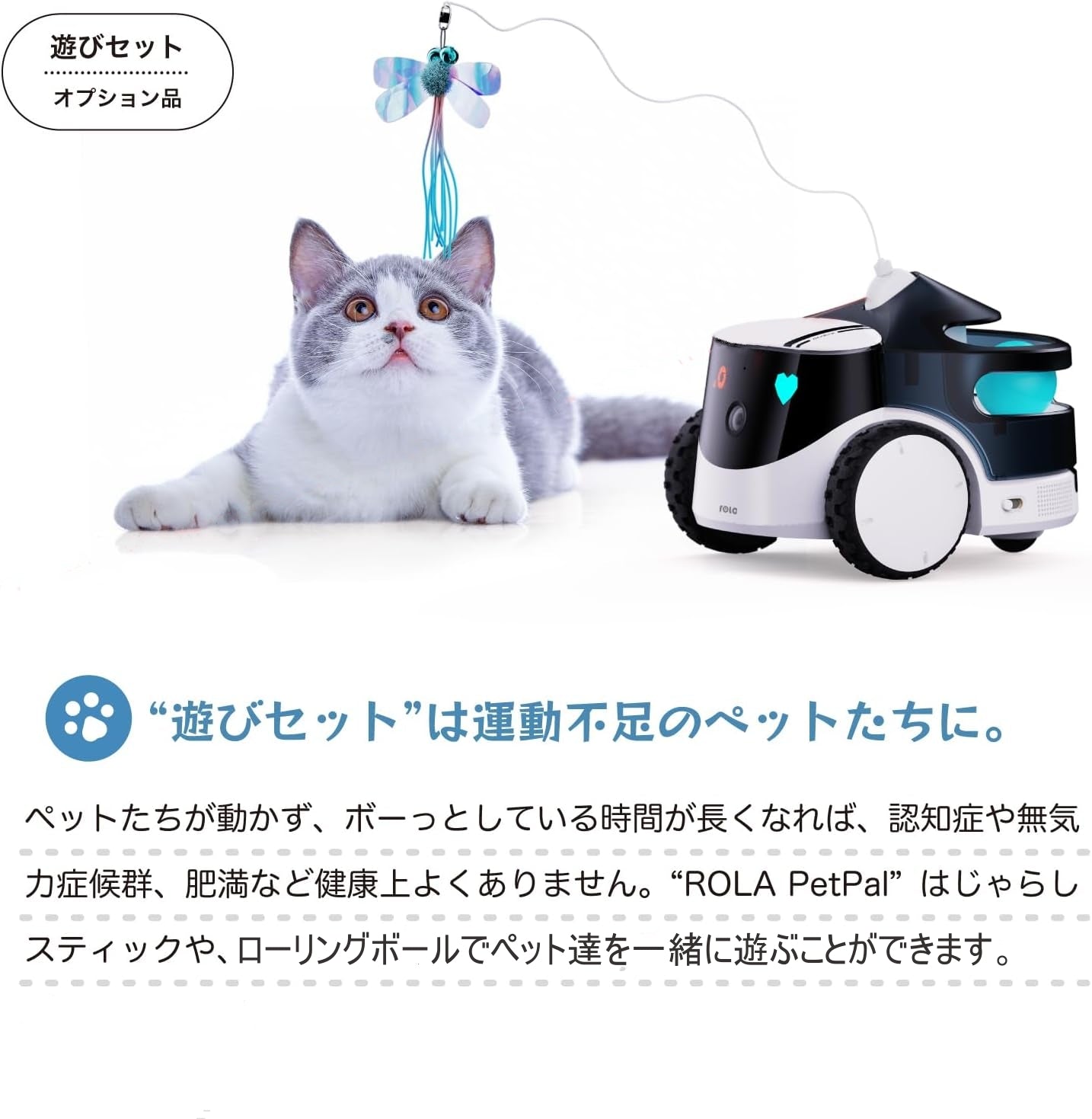 ROLAPetPal 専用遊びユニット