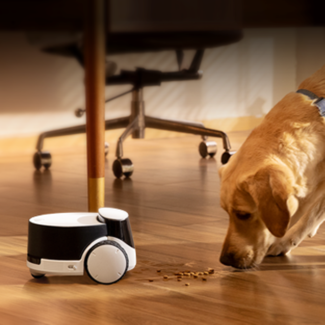 ペットコンパニオンAIロボット ROLA PetPal