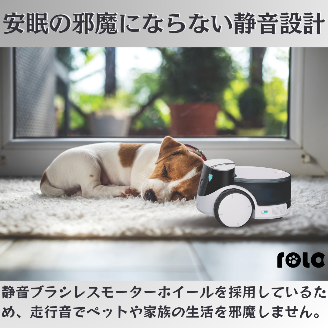 ペットコンパニオンAIロボット ROLA PetPal