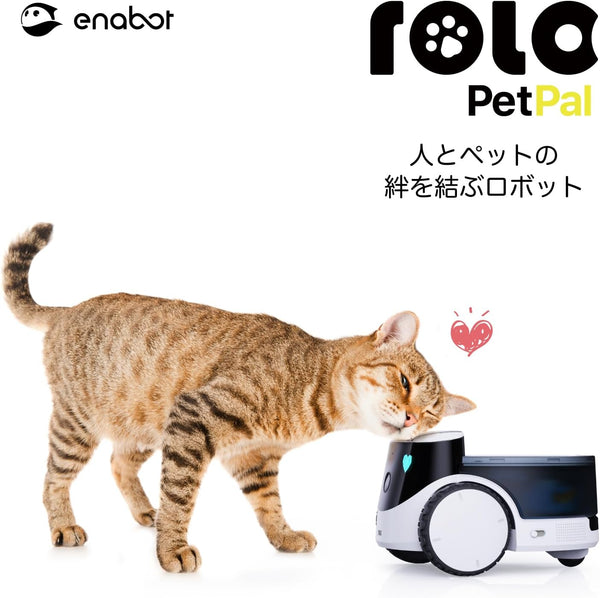ペットコンパニオンAIロボット ROLA PetPal